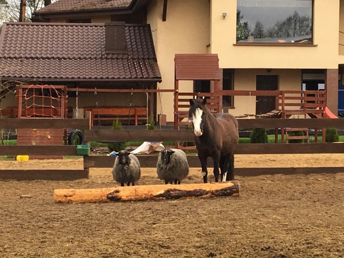 Quatro Osrodek Jezdziecki - Gospodarstwo Agroturystyczne Pobiedziska Dış mekan fotoğraf