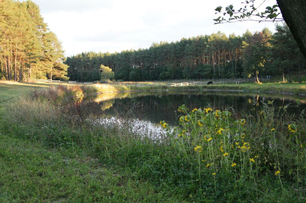 Quatro Osrodek Jezdziecki - Gospodarstwo Agroturystyczne Pobiedziska Dış mekan fotoğraf