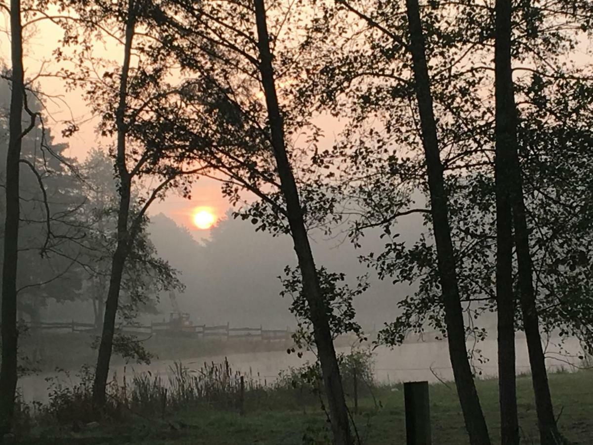 Quatro Osrodek Jezdziecki - Gospodarstwo Agroturystyczne Pobiedziska Dış mekan fotoğraf